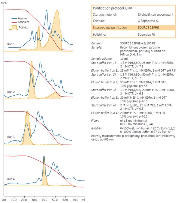 Optimization steps for intermediate purification of a recombinant protein.