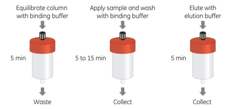 Simple purification of GST-tagged proteins Simple purification of GST-tagged proteins