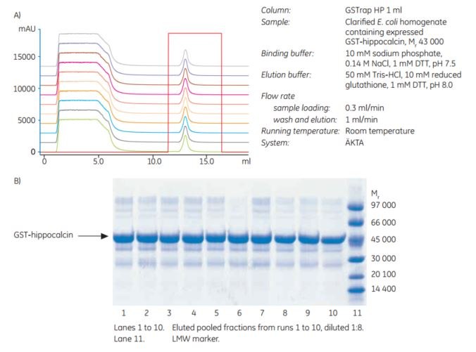 Confirmation of the stability of Glutathione Sepharose Confirmation of the stability of Glutathione Sepharose