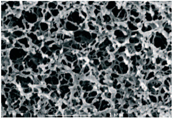 Structure of cross-linked agarose media