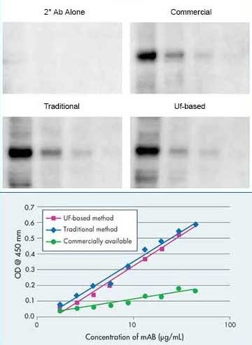Upper panel shows activity comparison measured in a Western blot between Mab Upper panel shows activity comparison measured in a Western blot between Mab