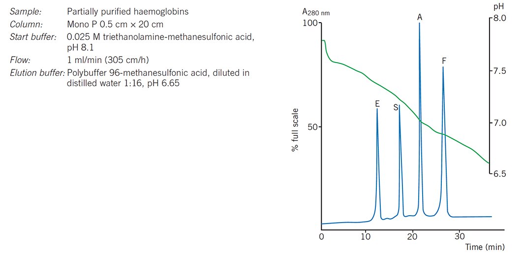 Chromatofocusing of haemoglobin variants