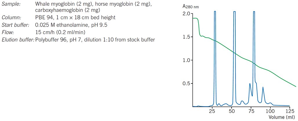 Chromatofocusing of standard protein mixture