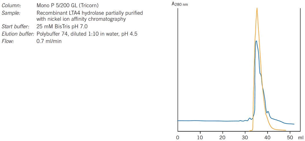 Purification of leukotriene A4 hydrolase. Results courtesy of Eva Ohlson, Karolinska Institutet, Stockholm, Sweden