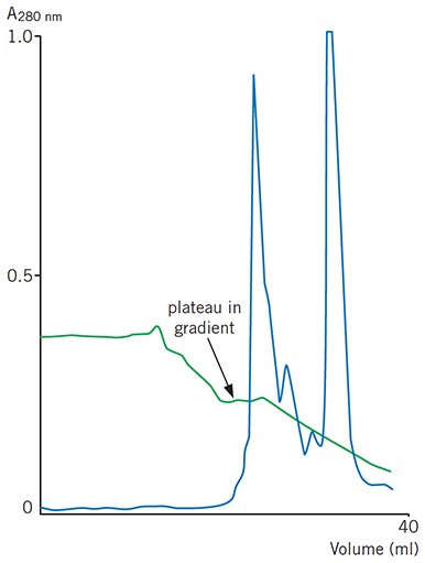 A plateau in a pH gradient during chromatofocusing caused by excess CO2 in the start buffe