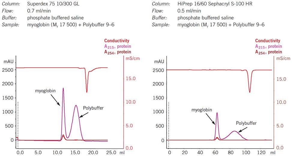 Separation of Polybuffer from protein using gel filtration