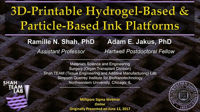 3D-Printable Hydrogel-Based and Particle-Based Biomaterial Ink Platforms 