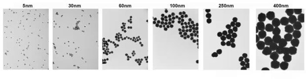 直径が5 nm ～ 400 nmの金ナノ粒子のTEM画像