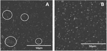 膜吸収量の時間経過:上の図は、エタノールと水が50:50 wt%の溶液の選択膜への吸収量を時間の経過とともに示したものです。グラフ中の最大値は、膜が溶出する点、つまり膜の形状が失われて使用できなくなる点を表しています。下の画像Aは15 wt%のシリカを充填したPVA膜の表面像、画像Bは10 wt%のシリカを充填したPVA膜の表面像を示しています。 15 wt%のシリカを充填したPVA膜の表面像と10 wt%のシリカを充填したPVA膜の表面像
