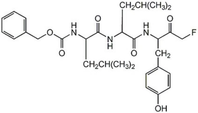 Calpain Inhibitor IV The Calpain Inhibitor IV controls the biological activity of Calpain. This small molecule/inhibitor is primarily used for Protease Inhibitors applications.