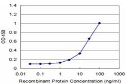 Monoclonal Anti-PCP4 antibody produced in mouse clone 1E3, purified immunoglobulin, buffered aqueous solution
