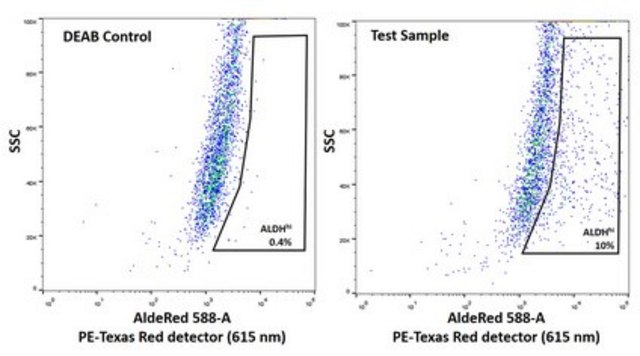 UM-SCC-47 HPV-16 Positive Squamous Carcinoma Cell Line suitable in vitro model of H&amp;N carcinoma studies