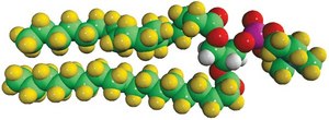 18:0 PC-d83 Avanti Research&#8482; - A Croda Brand