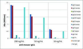 Anti-Mouse IgG1 antibody, Rabbit monoclonal recombinant, expressed in HEK 293 cells, clone RM106, purified immunoglobulin