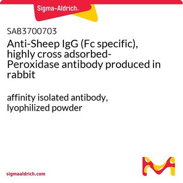 Anti-Sheep IgG (Fc specific), highly cross adsorbed-Peroxidase antibody produced in rabbit affinity isolated antibody, lyophilized powder