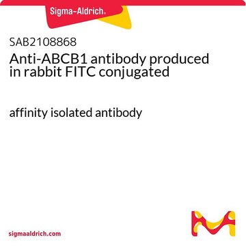 Anti-ABCB1 antibody produced in rabbit FITC conjugated affinity isolated antibody