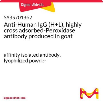 Anti-Human IgG (H+L), highly cross adsorbed-Peroxidase antibody produced in goat affinity isolated antibody, lyophilized powder