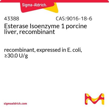 Esterase Isoenzyme 1 porcine liver, recombinant recombinant, expressed in E. coli, &#8805;30.0&#160;U/g