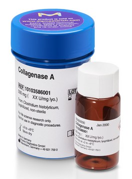 Collagenase A from Clostridium histolyticum