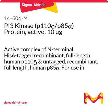 PI3 Kinase (p110&#948;/p85&#945;) Protein, active, 10 &#181;g Active complex of N-terminal His6-tagged recombinant, full-length, human p110&#948; &amp; untagged, recombinant, full length, human p85&#945;. For use in Kinase Assays.