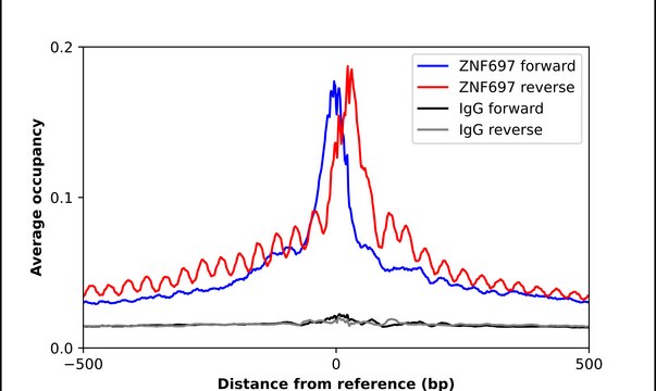Anti-ZNF697 antibody produced in rabbit Prestige Antibodies&#174; Powered by Atlas Antibodies, affinity isolated antibody, buffered aqueous glycerol solution