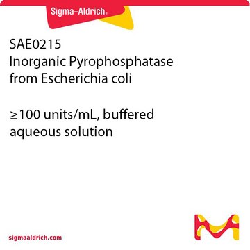 Inorganic Pyrophosphatase from Escherichia coli &#8805;100&#160;units/mL, buffered aqueous solution