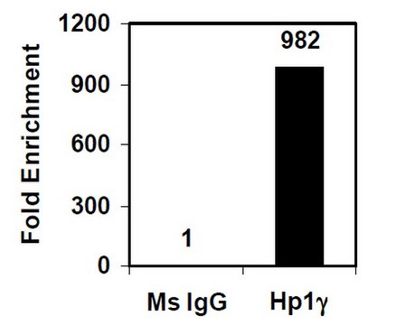 Magna ChIP&#174; A/G Chromatin Immunoprecipitation Kit Single day chromatin immunoprecipitation (ChIP) kit containing all necessary reagents to perform 22 individual chromatin immunoprecipitation (ChIP) reactions using magnetic A/G beads.