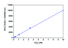 Fluorimetric Hydrogen Peroxide Assay Kit sufficient for 500&#160;fluorometric&nbsp;tests (red fluorescence)