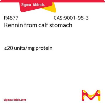 Rennin from calf stomach &#8805;20&#160;units/mg protein