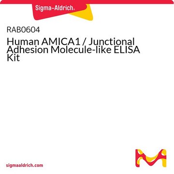 Human AMICA1 / Junctional Adhesion Molecule-like ELISA Kit