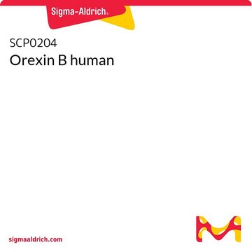 Orexin B human