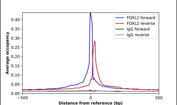 Anti-FOXL2 antibody produced in rabbit Prestige Antibodies&#174; Powered by Atlas Antibodies, affinity isolated antibody, buffered aqueous glycerol solution
