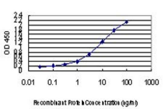 Monoclonal Anti-CD81 antibody produced in mouse clone 2B7, purified immunoglobulin, buffered aqueous solution