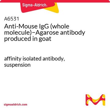 Anti-Mouse IgG (whole molecule)&#8722;Agarose antibody produced in goat affinity isolated antibody, suspension