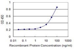 Monoclonal Anti-BIRC7, (N-terminal) antibody produced in mouse clone 3H1, purified immunoglobulin, buffered aqueous solution