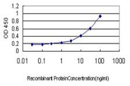 Monoclonal Anti-NR1H2 antibody produced in mouse clone 2H2-H3, purified immunoglobulin, buffered aqueous solution