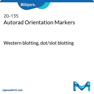 Autorad Orientation Markers Western blotting, dot/slot blotting