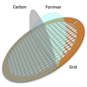 Formvar/Carbon Supported Copper Grids size 150&#160;mesh, box of 25