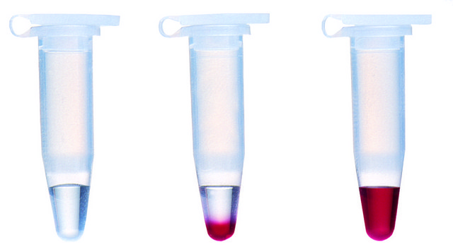 JumpStart&#8482; REDAccuTaq&#174; LA DNA Polymerase Long and accurate hot-start Taq with inert dye, 10X buffer included