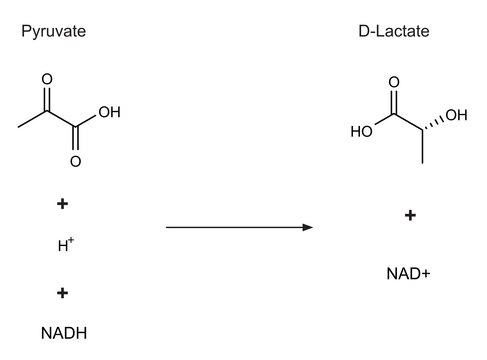 D-Lactic Dehydrogenase from Lactobacillus leichmannii lyophilized powder, 150-500&#160;units/mg protein