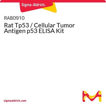 Rat Tp53 / Cellular Tumor Antigen p53 ELISA Kit