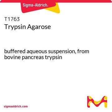 Trypsin Agarose buffered aqueous suspension, from bovine pancreas trypsin