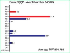 Brain PI(4)P Avanti Research&#8482; - A Croda Brand 840045X