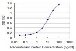 ANTI-GNL3 antibody produced in mouse clone 4B10, purified immunoglobulin, buffered aqueous solution