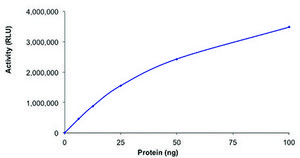 HDAC2, active, GST tagged human recombinant, expressed in baculovirus infected Sf9 cells, &#8805;70% (SDS-PAGE), buffered aqueous glycerol solution