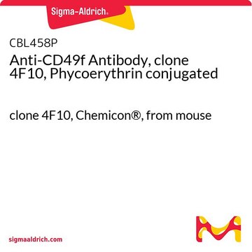 Anti-CD49f Antibody, clone 4F10, Phycoerythrin conjugated clone 4F10, Chemicon&#174;, from mouse