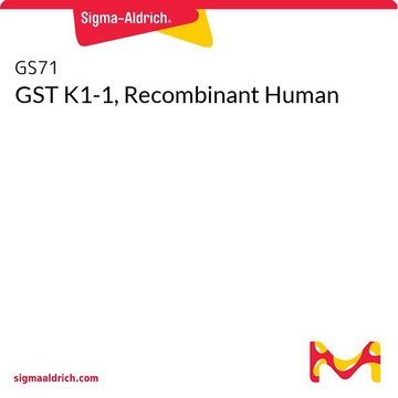 GST K1-1, Recombinant Human