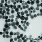 Silver nanospheres 20&#160;nm avg. part. size, 1&#160;mg/mL (aqueous sodium citrate), citrate functionalized