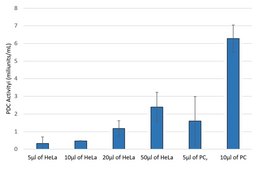Pyruvate Dehydrogenase Activity Assay Kit sufficient for 100&#160;colorimetric&nbsp;tests