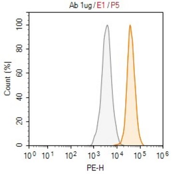 Anti-Smac/DIABLO Antibody, clone 2B9 ZooMAb&#174; Rabbit Monoclonal recombinant, expressed in HEK 293 cells